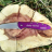 Складной полуавтоматический нож Kershaw Leek 1660PUR - Складной полуавтоматический нож Kershaw Leek 1660PUR